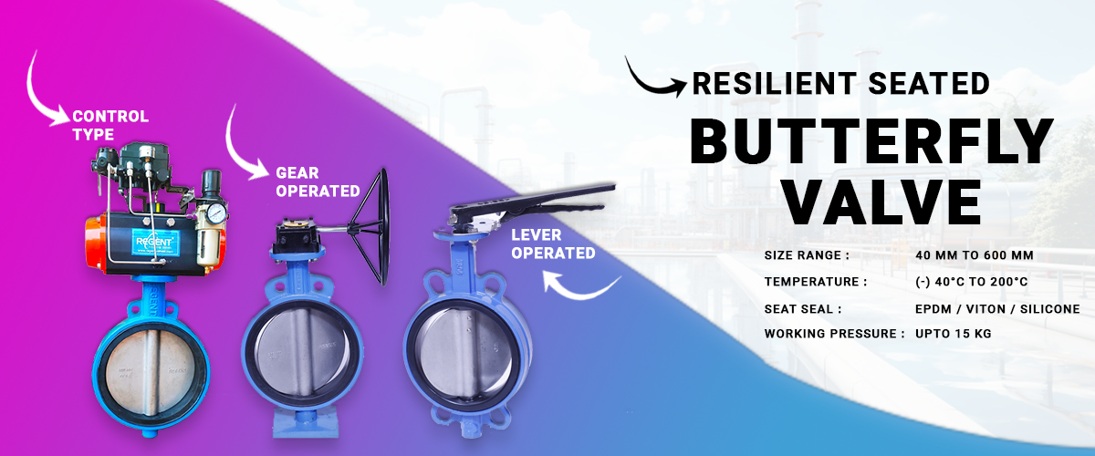 Regent Hitech Private Limited