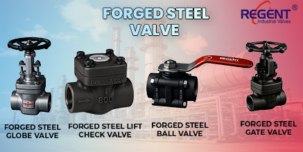 Regent Hitech Private Limited