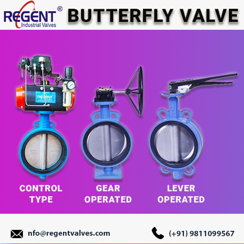 Regent Hitech Private Limited