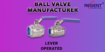 Regent Hitech Private Limited