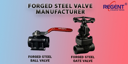 Regent Hitech Private Limited