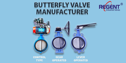 Regent Hitech Private Limited