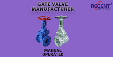 Regent Hitech Private Limited