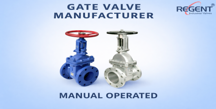 Regent Hitech Private Limited