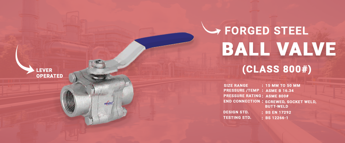 Regent Hitech Private Limited