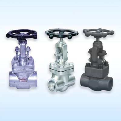 Regent Hitech Private Limited