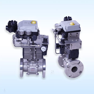 Regent Hitech Private Limited